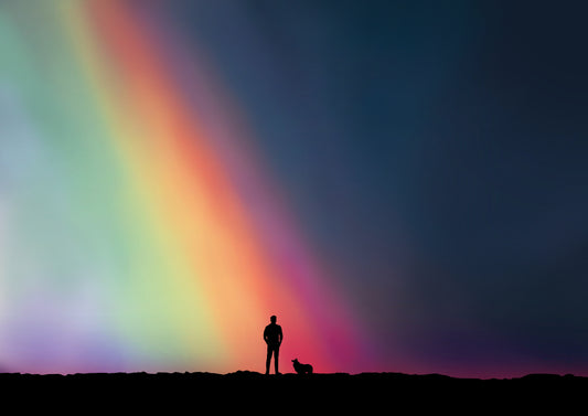 Dog Loss Art Print - “The Colour You Left Behind” Male Figure