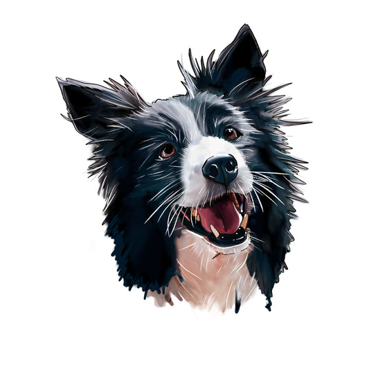 Illustration of a border collie's head with a black and white color scheme on a white background