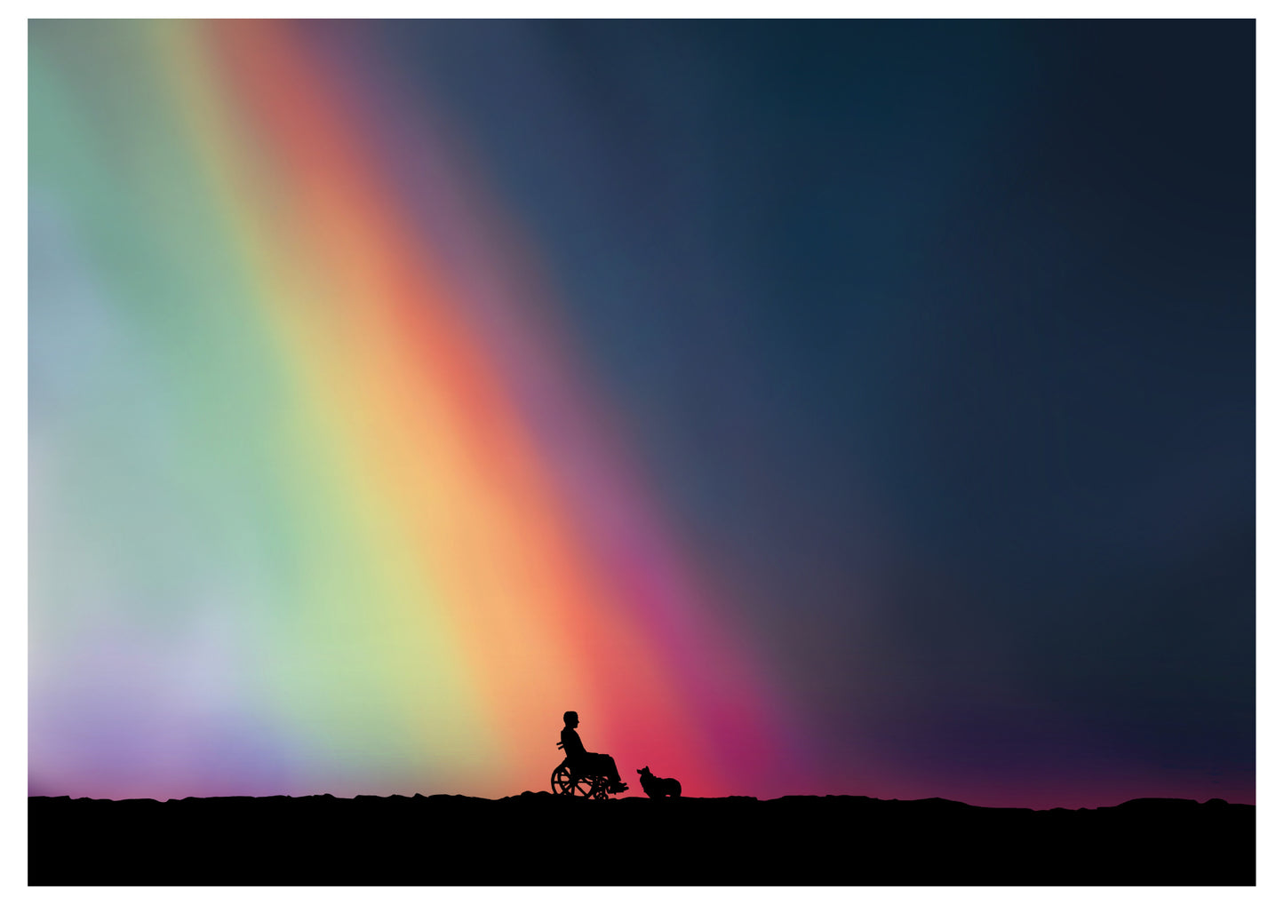 Dog Loss Art Print - “The Colour You Left Behind” Male Wheelchair User