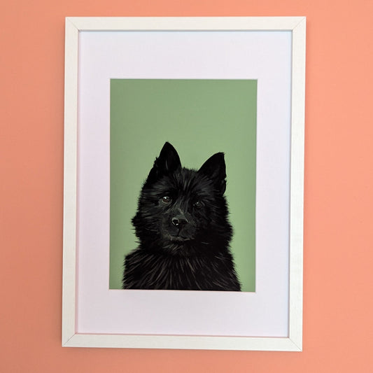 schipperke little black dog print