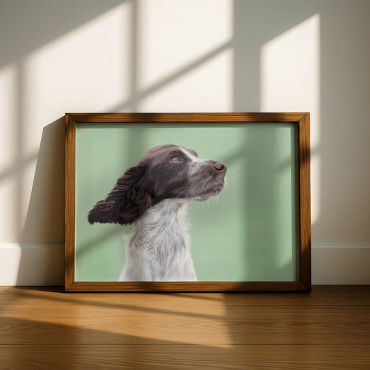 Framed picture of a springer spaniel on a wooden floor with a light green background
