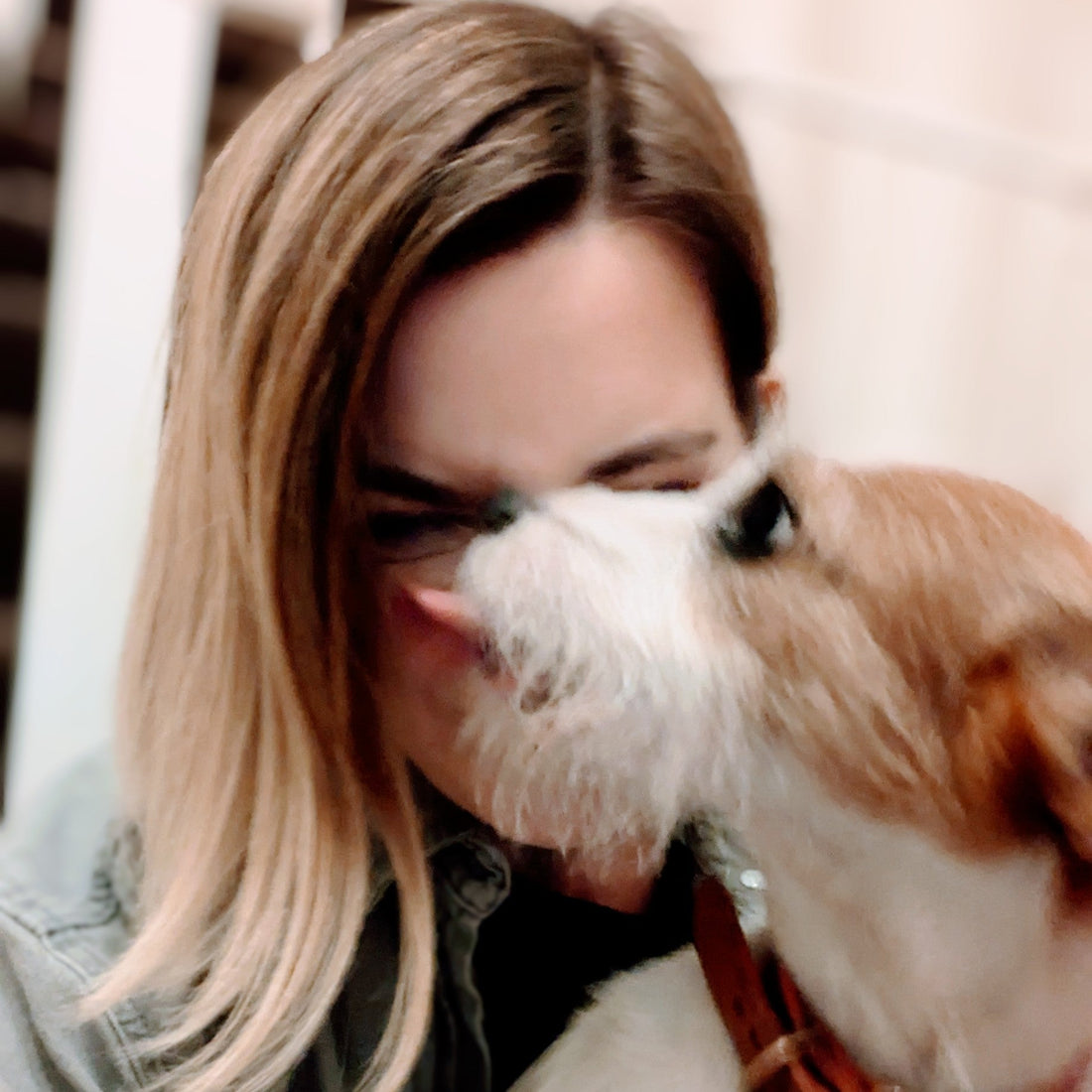 cute jack russell and woman