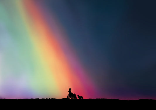 Dog Loss Art Print - “The Colour You Left Behind” Female Wheelchair User