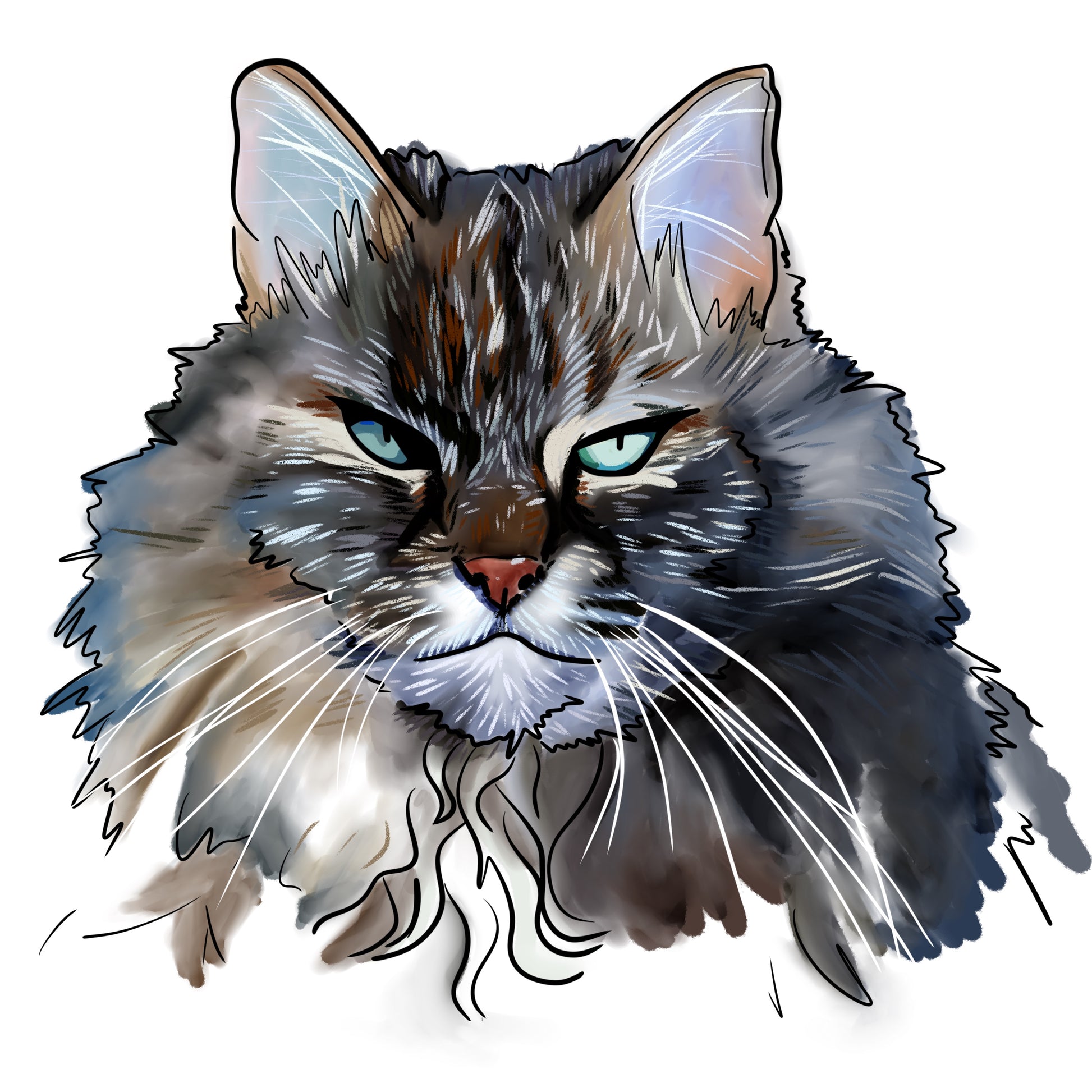 Artistic illustration of a maine coone cat's face with detailed fur and expressive eyes on a white background.