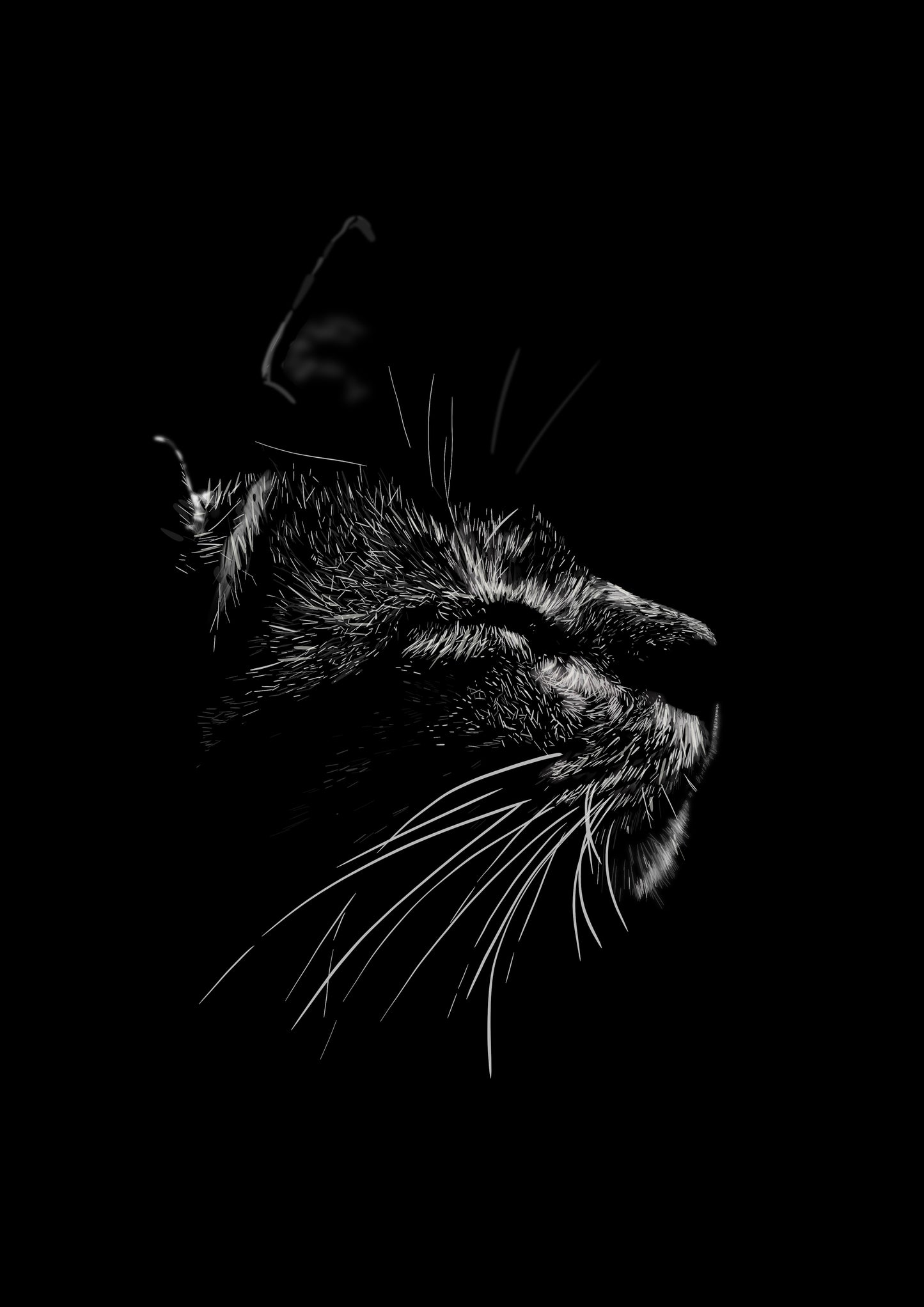 After Dark - Contemporary Cat Art Print