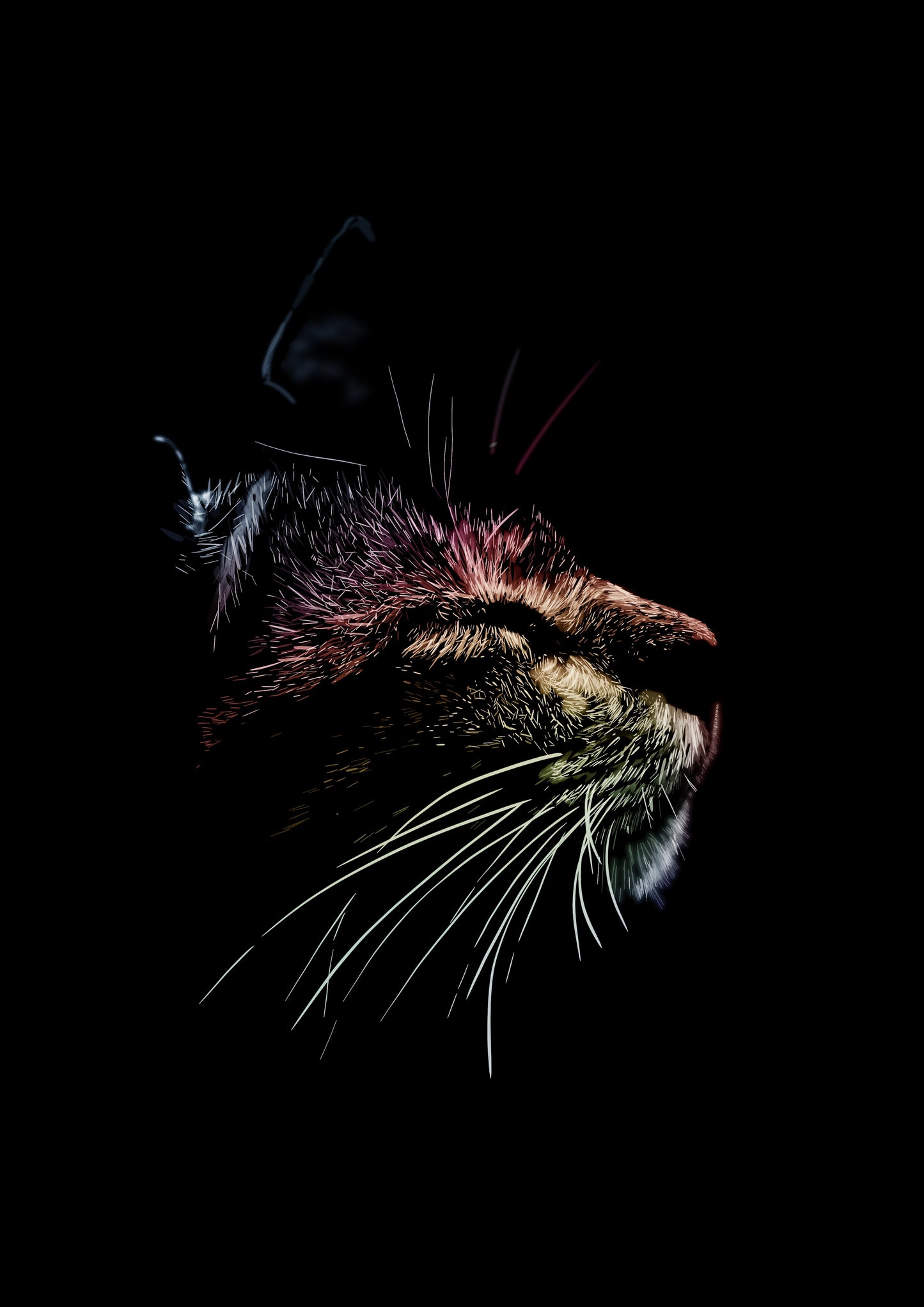 After Dark - Contemporary Cat Art Print