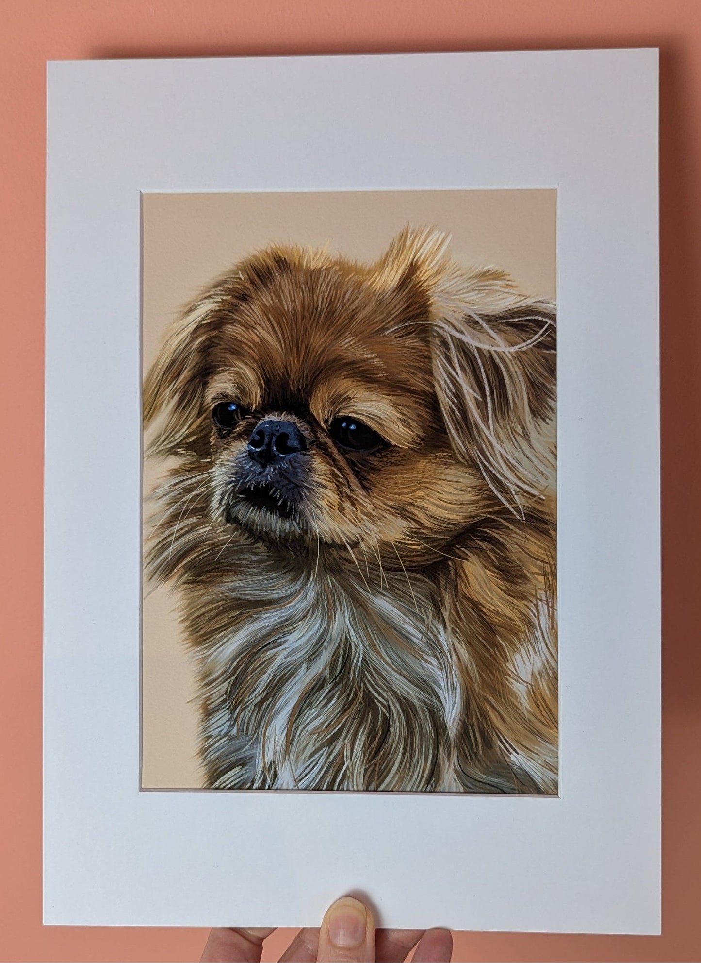 mounted tibetan spaniel print