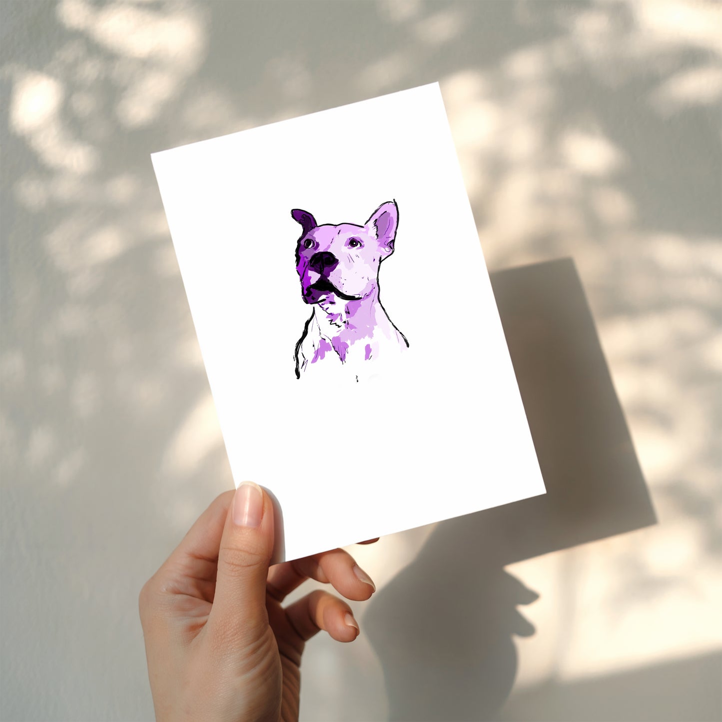 Colourful Mini Pet Portraits