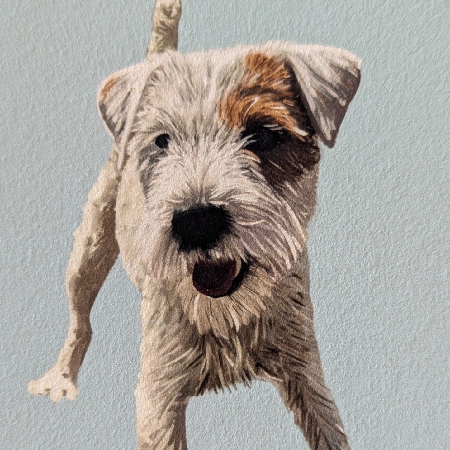 parson russell terrier wall art on a blue background