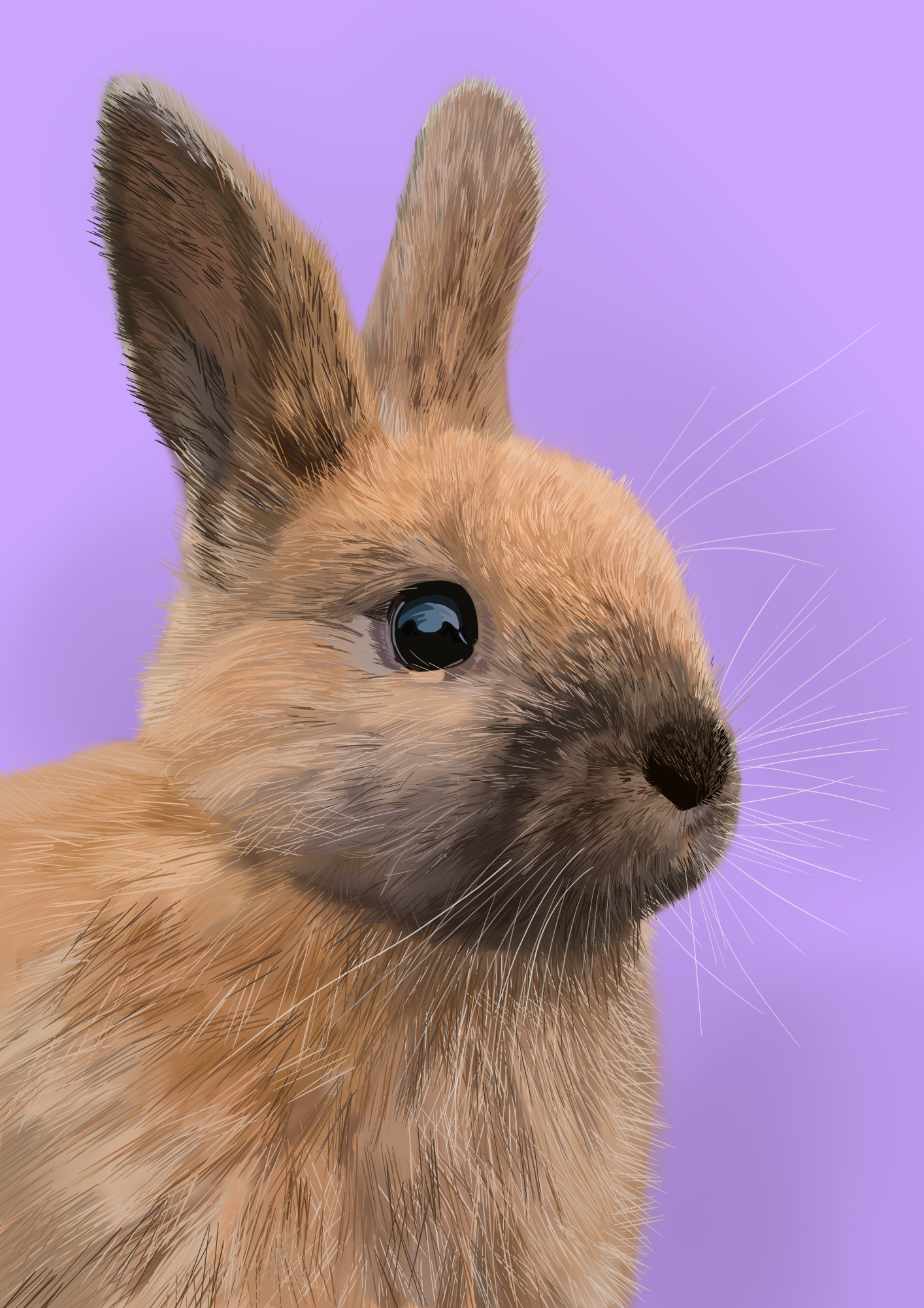 Custom pet portrait of a rabbit with a purple background