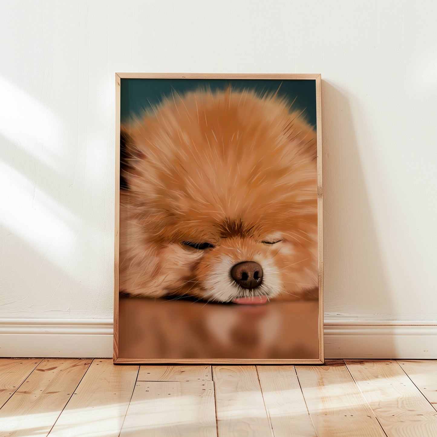 Framed picture of a sleeping pomeranian with it's tongue out, on a wooden floor with a white wall background