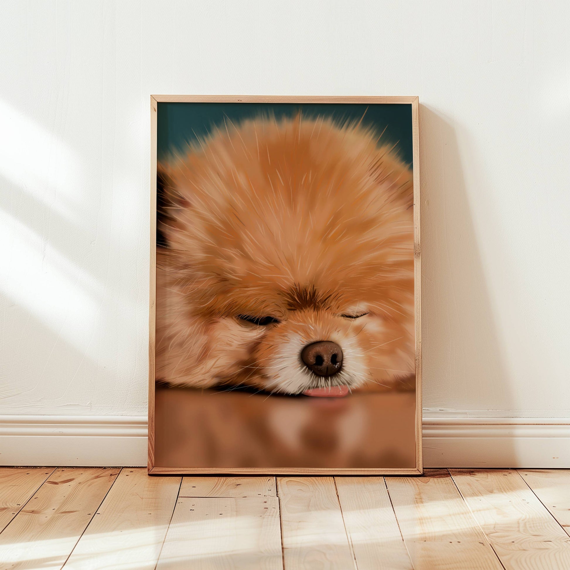 Framed picture of a sleeping pomeranian with it's tongue out, on a wooden floor with a white wall background