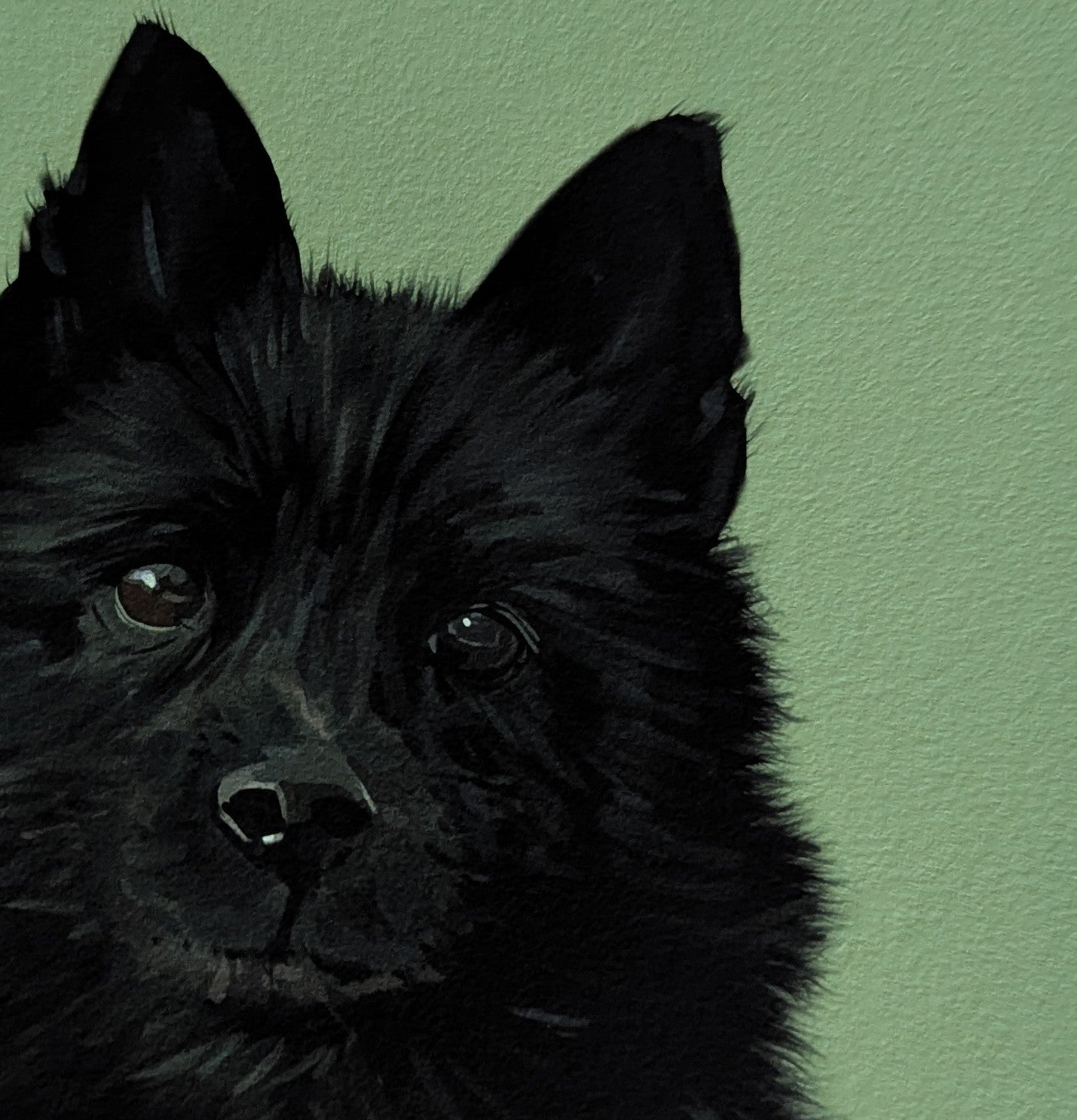 fluffy black dog illustration on a green background