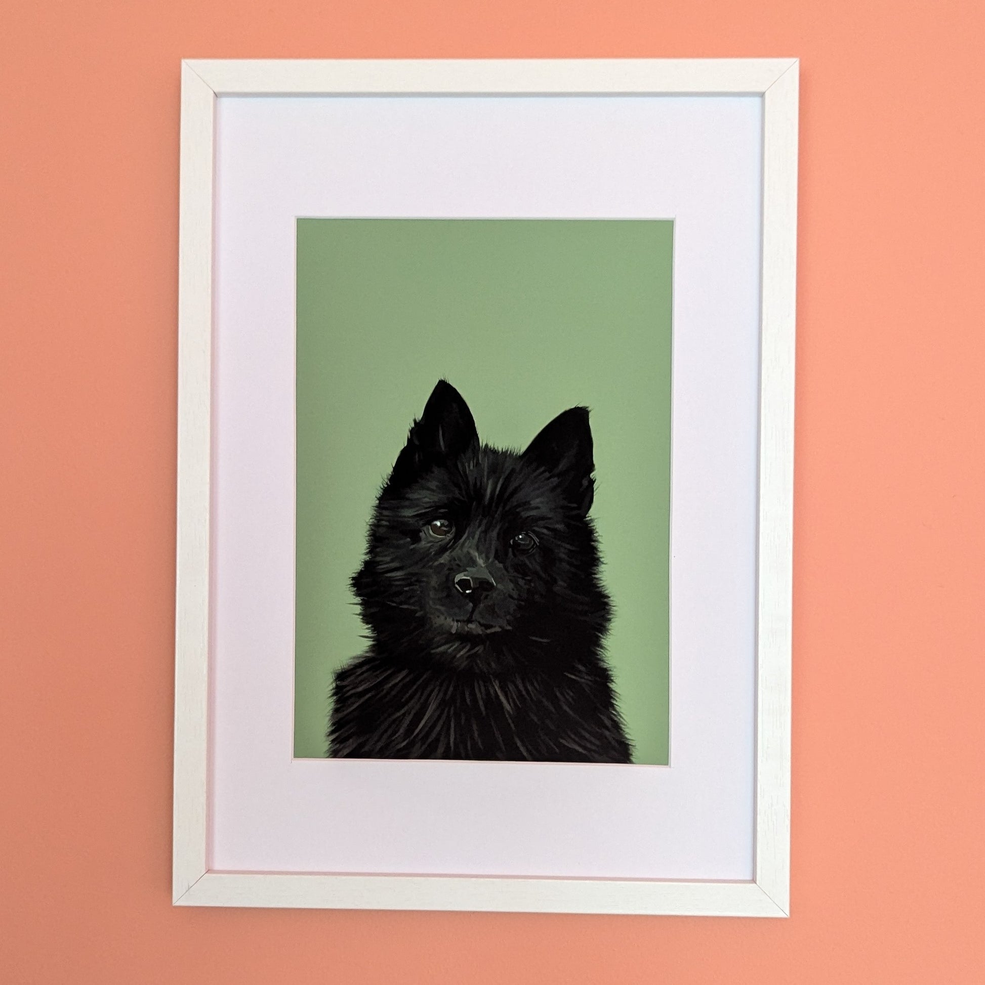 schipperke little black dog print
